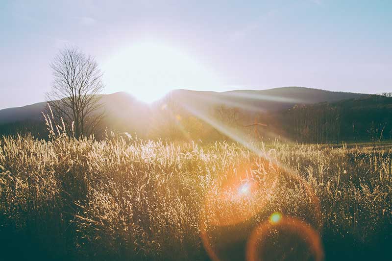 Goldenes Licht